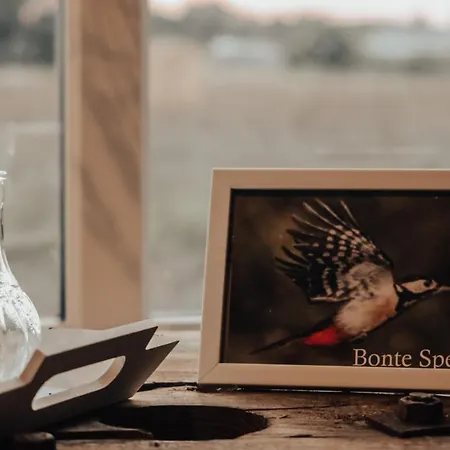 Hoeve Twente - De Bonte Specht Chalet Heythuysen