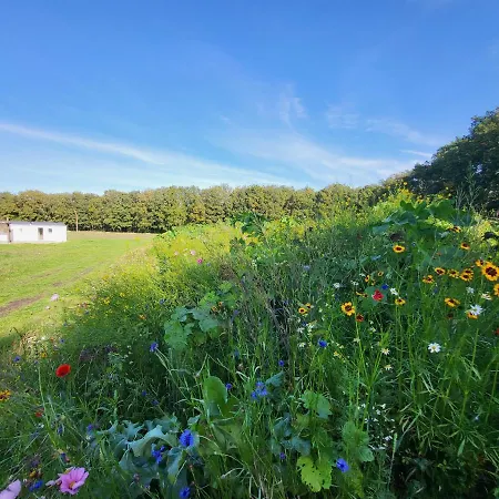 Alpesi faház Hoeve Twente - De Bonte Specht